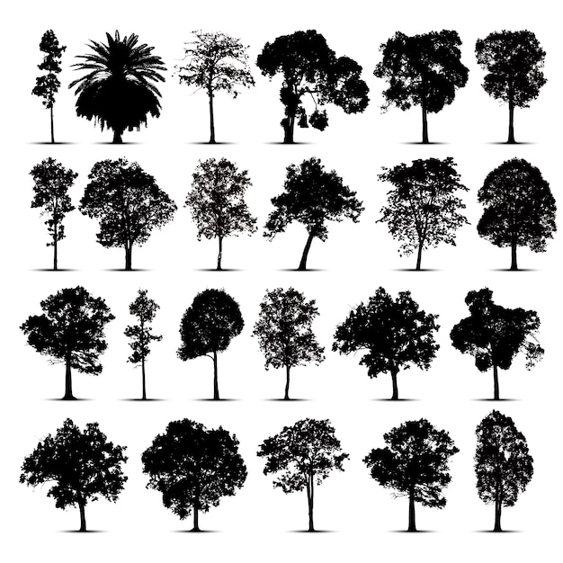 Vector tree silhouettes set