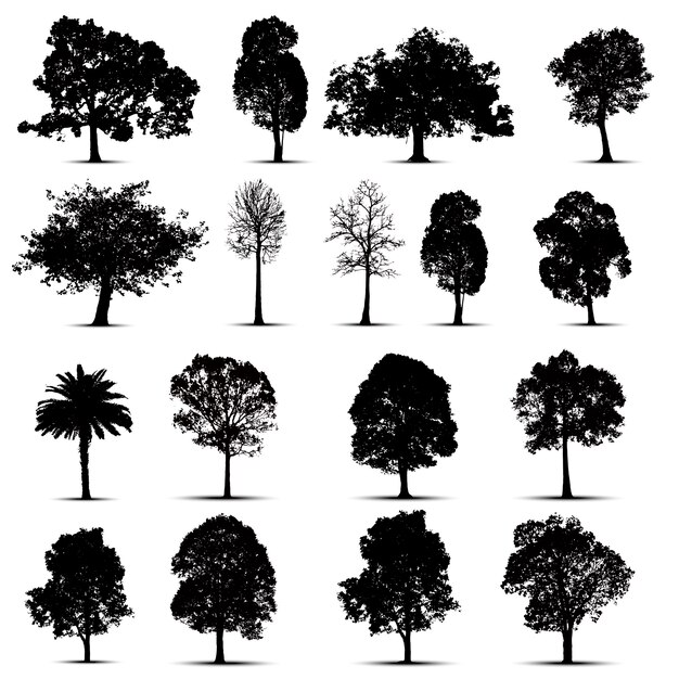 Vector tree silhouettes set