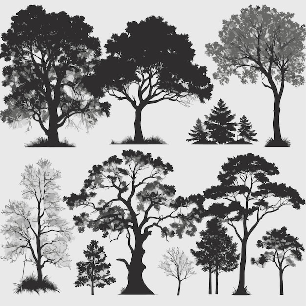 Vector tree silhouettes vector