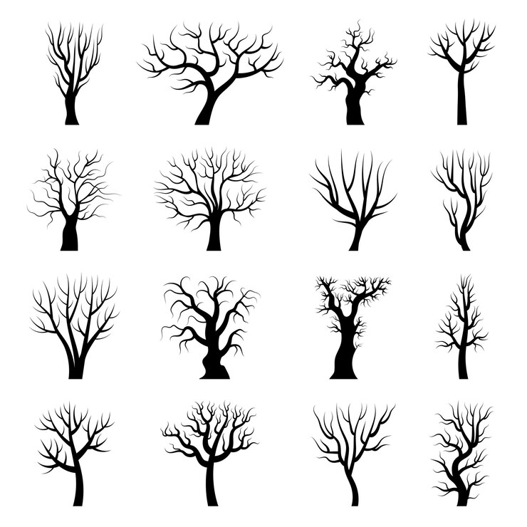 Vector tree silhouettes. winter tree branches dead autumn plants trunks vector illustrations. wood autumn tree, forest winter branch collection