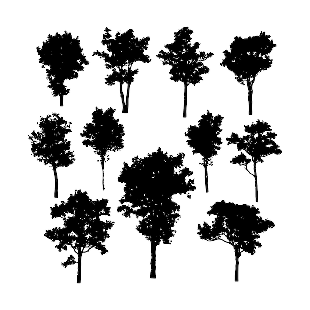 Tree Silhouttes