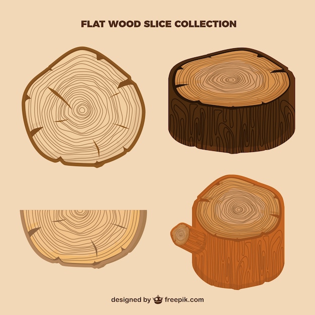 Tree slices , flat style