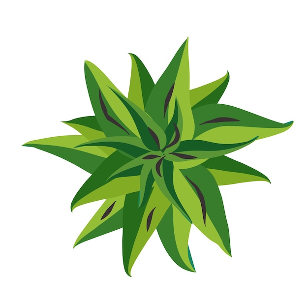 ツリートップビュー。自然の王冠のあなたのランドスケープデザインプロジェクトの植物で使いやすい。自然の緑地。