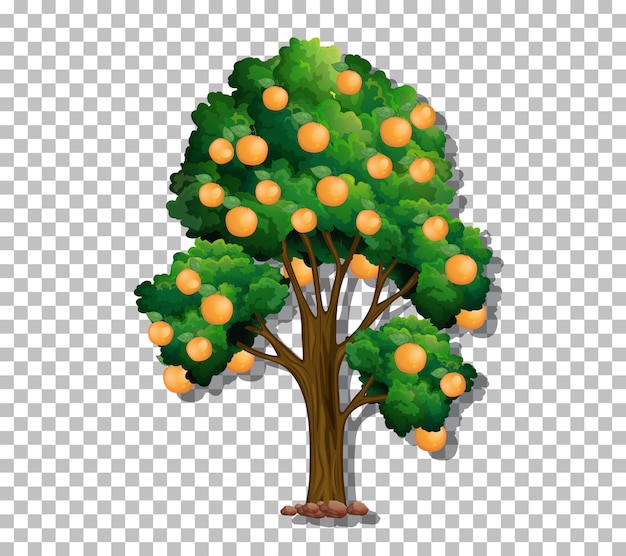 Tree on transparent background