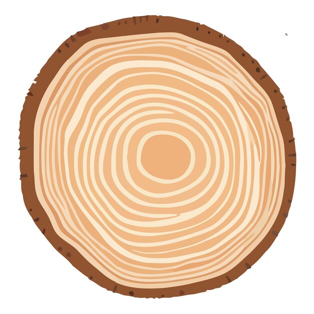 Vector tree trunk wood ring tree trunk cross section wood slice 1