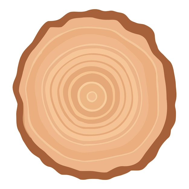 Vector tree trunk wood ring tree trunk cross section wood slice 1