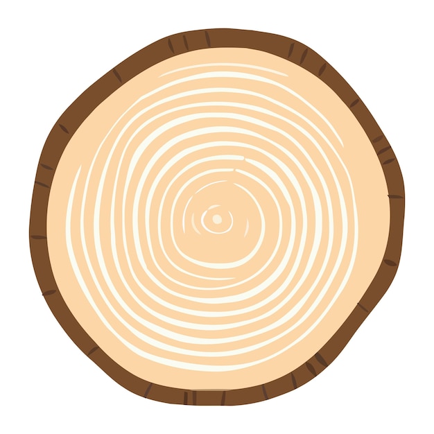 Вектор Деревянное кольцо ствола дерева поперечное сечение ствола дерева срез дерева на белом фоне