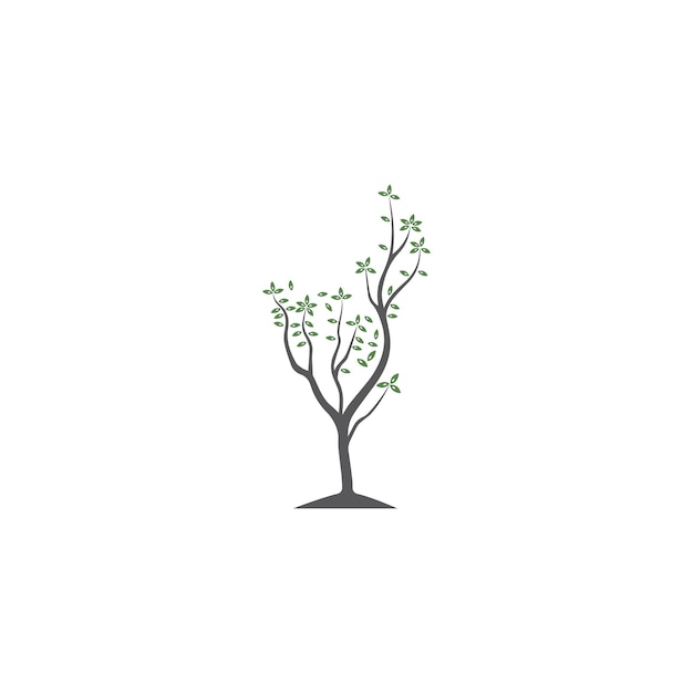 Вектор дерева, нарисованный вручную, иллюстрация шаблона векторного дизайна оливкового дерева