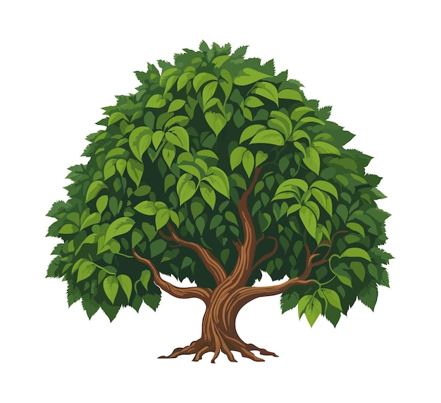 Tree Vector illustratie geïsoleerd op witte achtergrond