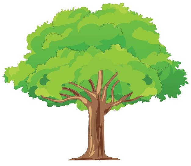 Vector tree vector illustration