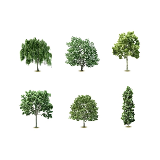 Vector tree vector set collection vector illustration