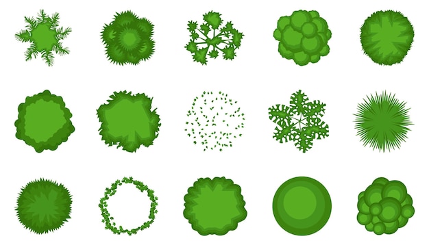 Vector tree view on top collection set of tree top view isolated in a flat design trees top down view for landscape