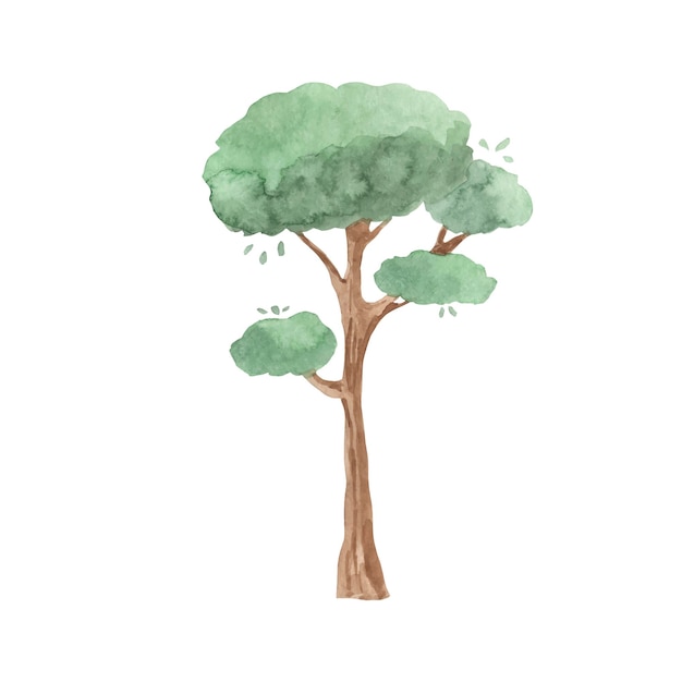 Tree watercolor illustration for kids