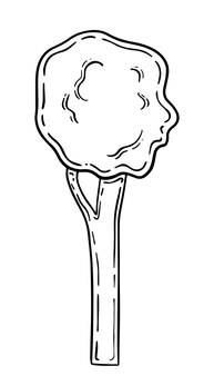 Albero con pianta del fogliame doodle lineare