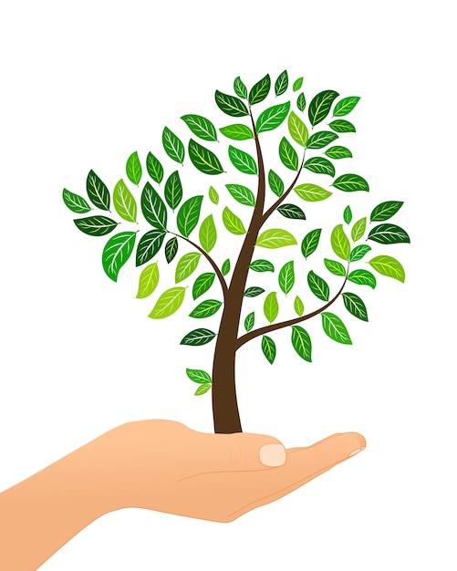 Vector tree with green leaves in hand isolaed on white background. eco concept.  illustration.