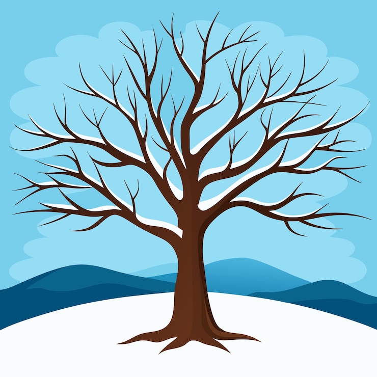 Vector a tree with no leaves in the winter