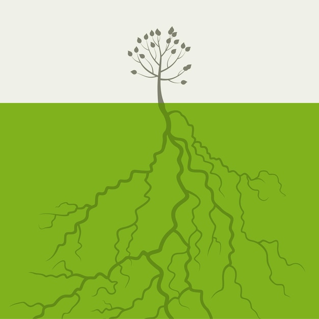 Vector tree with a root