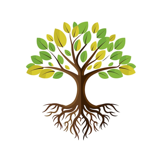 Vector tree with roots illustration