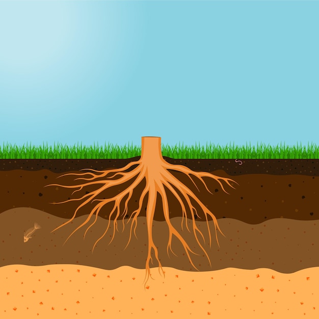 Albero con illustrazione vettoriale di radici