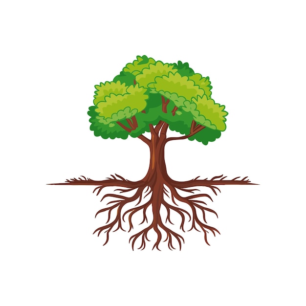 Tree with roots vector