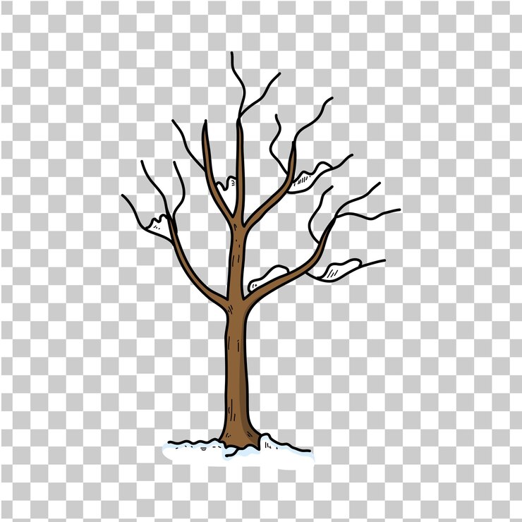 Vector a tree with a snow on it and the image of a bare tree