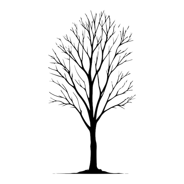 Вектор tree without leaf silhouette design vector
