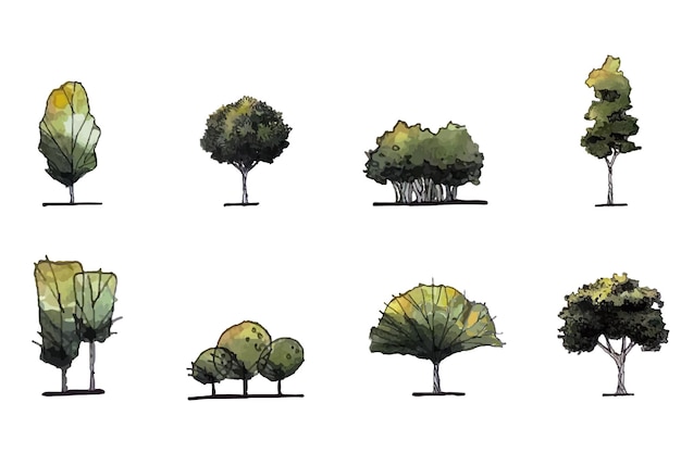 Treefrontviewdrawingsketchset