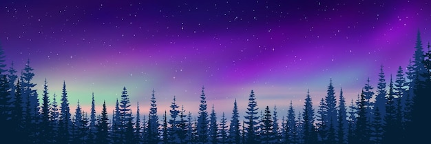 Trees against the background of aurora borealis winter holiday