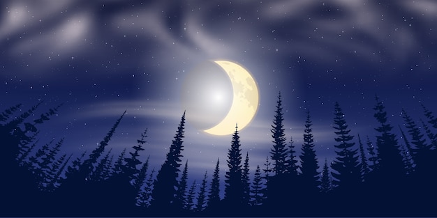 Vector trees against the background of the night sky with the moon