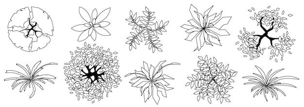 木や植物の上面図建築やランドスケープデザインのために設定された色のない草や木