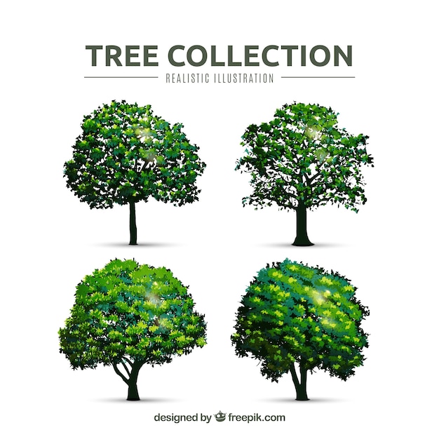 Trees collection in realistic style