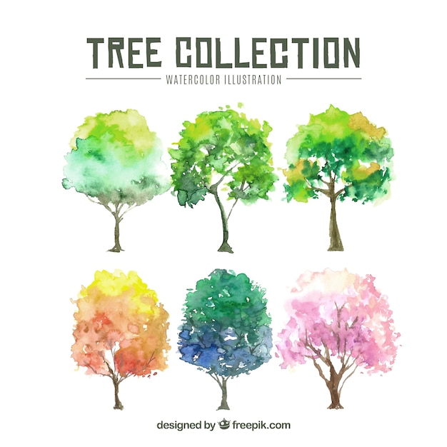 Vector trees collection in watercolor style