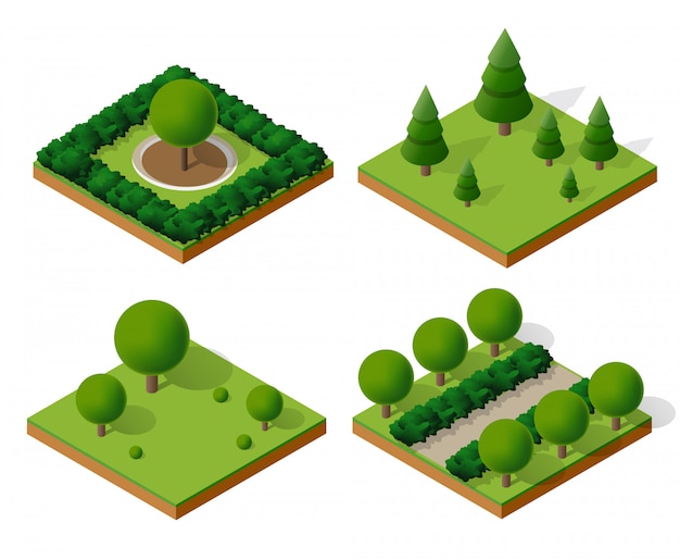 Vector trees forest camping