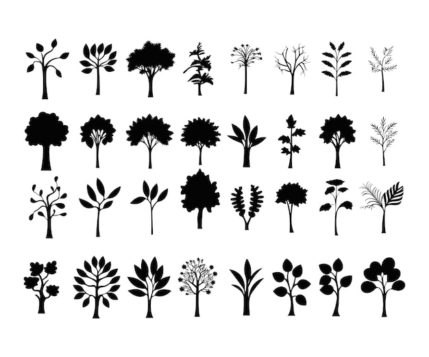 Trees and forest silhouettes set isolated vector illustration