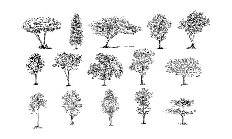 Vector trees handdrawn collection