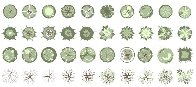 Vector trees and plants top view for landscape design icon of trees grass for project map plan green space