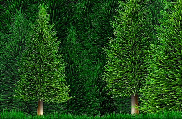 Vector trees and plants