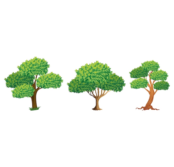 Vector trees set vector illustration