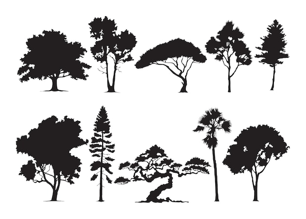 ベクトル 木のシルエット。森林および公園の松、モミおよびトウヒ、針葉樹および落葉樹