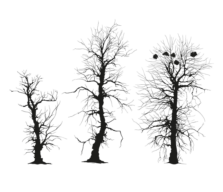 Vector trees silhouettes vector isolated on white