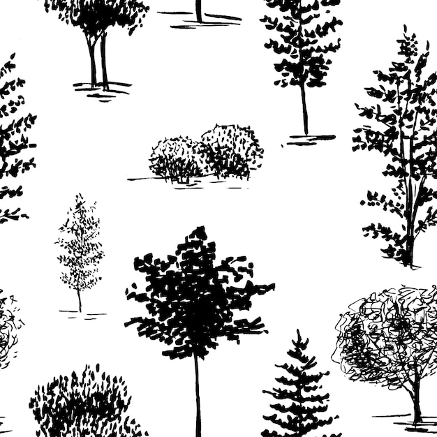 Trees sketch background. Seamless vector pattern. Hand painted black trees on a transparent background.