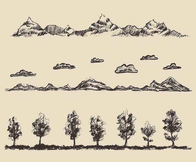 Trees sketch set, vintage illustration, engraved style, hand drawn