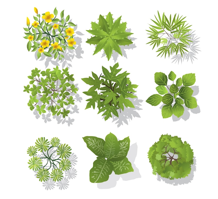 Vector trees top set 