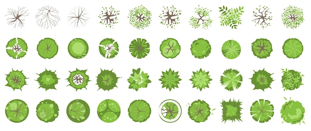 ベクトル 木の上面図建築や風景のデザインのために設定されたさまざまな色の植物や木のベクトル