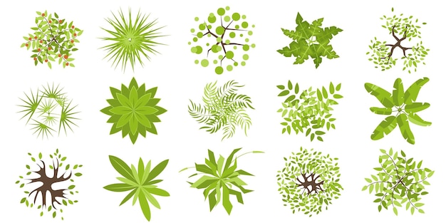 Trees top view different colored plants and trees vector set for architectural and landscape design