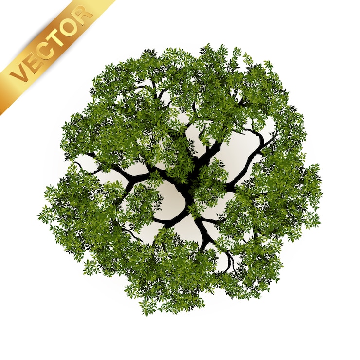 Vector trees top view for landscape vector illustration.
