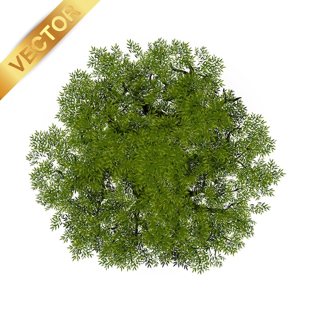 Vector trees top view for landscape vector illustration.