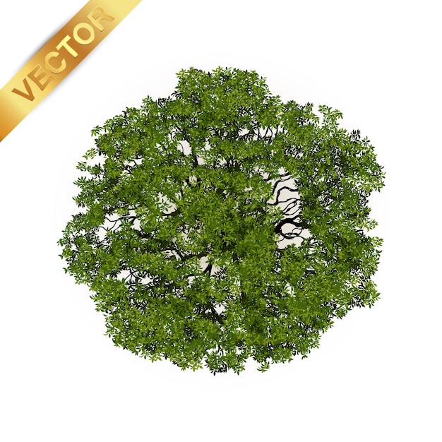 Vector trees top view for landscape