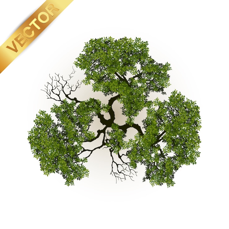 Vector trees top view for landscape 