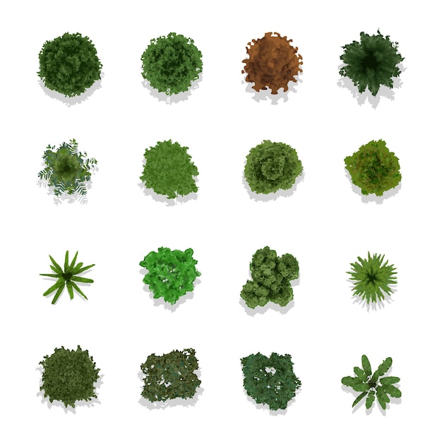 Vector trees top view with elements for landscape and architect design